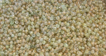 Biseris 20g, 3.6mm, geltonai žalsvas blizgus (2202)