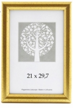 Rėmelis 21x29,7cm AURA 1303404 plastikinis , auksinės spalvos
