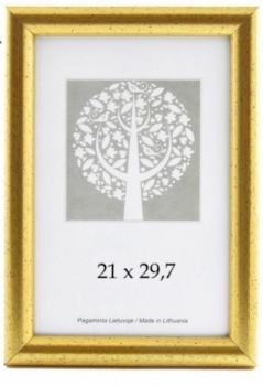 Rėmelis 21x29,7cm AURA 1303404 plastikinis , auksinės spalvos