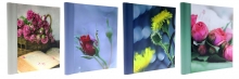 Foto albumas 22,8x28, 60 magnetinių puslapių, spiralinio rišimo