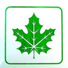 Magnetinis lipdukas KLEVO LAPAS