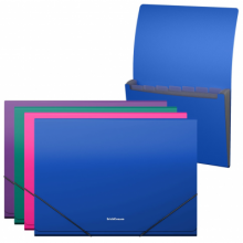 Plastikinis dėklas su skyriais MATT VIVID, ErichKrause, A4, 700mkr, 6 skyriai, su guma, 4 sp.