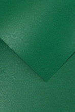 Dekoratyvinis struktūrinis kartonas 10 lapų 280g tamsiai žalios spalvos A4