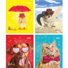 Sąsiuvinis 48l.lang. FUNNY ANIMALS