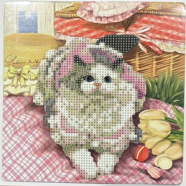 Deimantinė mozaika įv.paveikslėlių 20x20cm