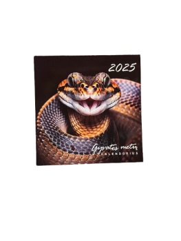 Kalendorius verčiamas 2025 m. 20x24 cm.
