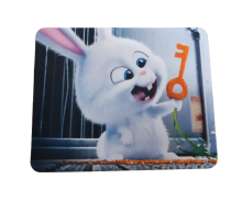 Pėlės kilimėlis 21x25cm