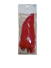 Dekoratyvinės plunksnos 12 vnt raudonos sp. 17cm