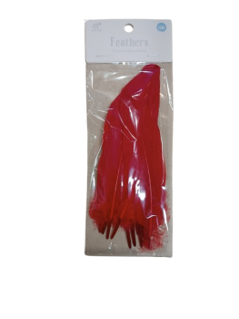 Dekoratyvinės plunksnos 12 vnt raudonos sp. 17cm