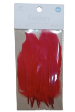 Plunksnos dekoratyvinės raudonos sp 12 vnt 14cm