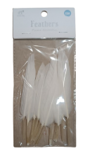 Plunksnos dekoratyvinės baltos sp.12 vnt 17cm