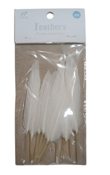 Plunksnos dekoratyvinės baltos sp.12 vnt 17cm