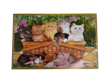 Dėlionė 500det 52x38cm
