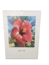 Rėmelis 29,7x42cm berėmis A3, CLIP plastikas