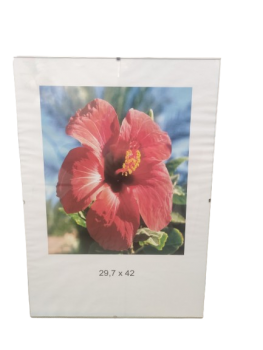 Rėmelis 29,7x42cm berėmis A3, CLIP plastikas
