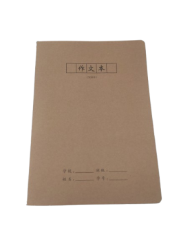 Užrašų knygutė 255x185mm 36lapai langeliais