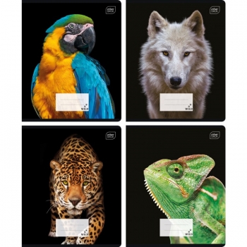 Sąsiuvinis 48 lapų linija 70g INTERDRUK