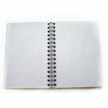 Bendras sąsiuvinis A5 100l. su spirale, langeliais, 70gm2