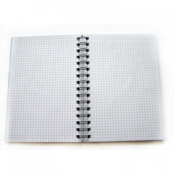 Bendras sąsiuvinis A5 100l. su spirale, langeliais, 70gm2