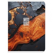 Sąsiuvinis Schoolboy, 48lapų,70 gsm, linijomis