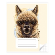 Sąsiuvinis langeliais 12 lapų, Vidinių lapų gramatūra-90 g/m2