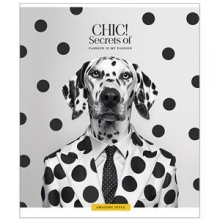 Sąsiuvinis Schoolboy,36 lapų linijomis B5, 60 gsm