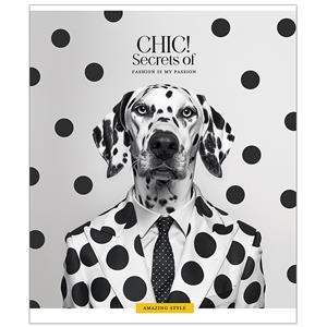 Sąsiuvinis Schoolboy,36 lapų linijomis B5, 60 gsm