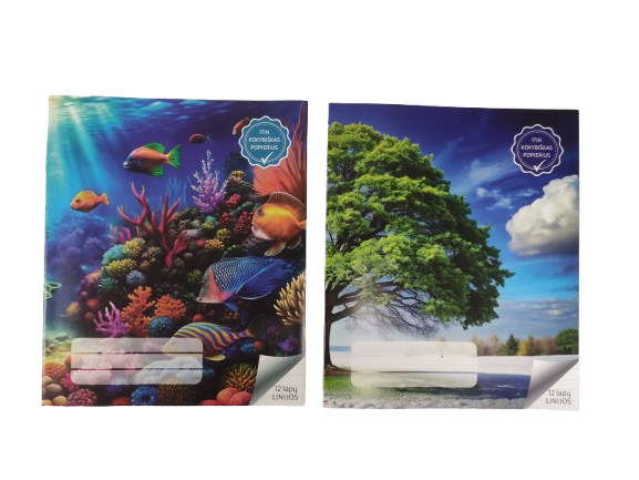 Sąsiuvinis 12l. linija 100g