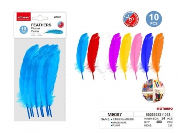 Plunksnos 50x200mm 10vnt įvairių spalvų MOTARRO