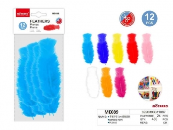 Plunksnos 50x140mm 12vnt įvairių spalvų MOTARRO