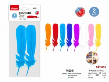 Plunksnos 50x320mm 2vnt įvairių spalvų MOTARRO