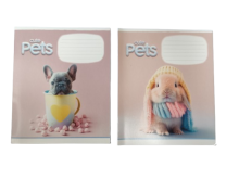 Sąsiuvinis Schoolboy, 12 lapų, 60 gsm, linijomis,