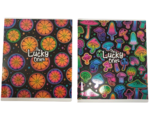 Sąsiuvinis Schoolboy, B5, 24 lapų, langeliais