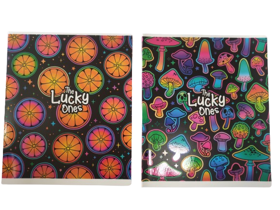 Sąsiuvinis Schoolboy, B5, 24 lapų, langeliais