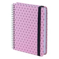 Blaknotas AXENT, B6, langeliais, 120 lapų, 80gsm, su spirale šone, rožinės sp.