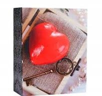 Albumas GED 10X15 100, kišeninis,klijuotas