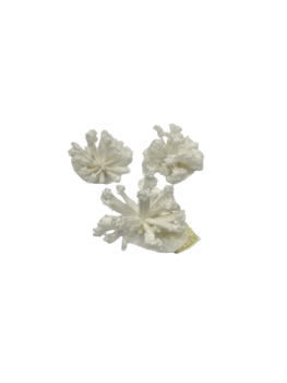 Dekoracija Gėlės žiedas