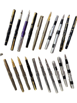 Elegantiškas plunksnakotis