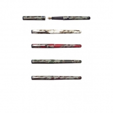 Parkeris su iridžio plunksna P670 MORO