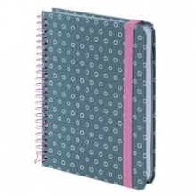 Blonknotas AXENT, B6, langeliais, 120 lapų, 80gsm, su spirale šone, pilkos sp.