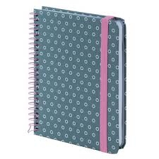 Blonknotas AXENT, B6, langeliais, 120 lapų, 80gsm, su spirale šone, pilkos sp.