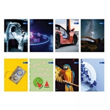 Kontorinis sąsiuvinis A4\60L.linija BASIC, SPREE