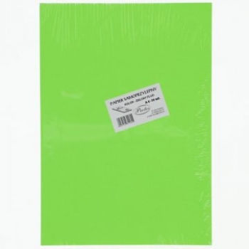 Lipnus popierius A4 FLUO žalias 1x210x297 100l.pak. PENWORD
