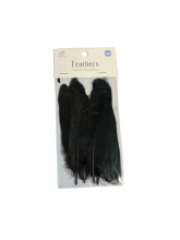 Plunksnos dekoratyvinės juodos 12 vnt