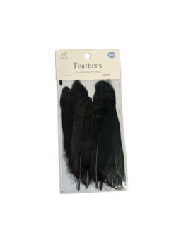 Plunksnos dekoratyvinės juodos 12 vnt