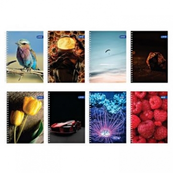 Sąsiuvinis A5/80L.su spirale, linija, 70g/m2, Basic,SPREE