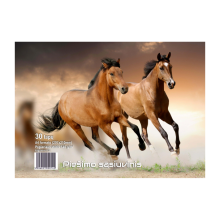 Piešimo sąsiuvinis A4, 30lapų, 120g.m2, RYNGRAF Lenkija