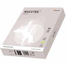 Popierius A4 80g. 50 lapų. Maestro Color GR21 pilkas