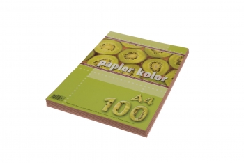 Spalvotas popierius A4 80grm2 100lapų rudos spalvos KRESKA