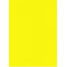 Kartonas A4, 10lapų, 225g. PENWORD geltonas (Lemon)